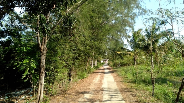 7-2-66 งานสาธารณสุขฯ ดำเนินการตัดหญ้า เเต่งต้นไม้ ซอยศาลเจ้าปุ่นเท่ากง