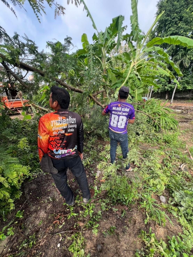 6-11-67 งานป้องกันฯและช่างไฟฟ้า ตัดต้นไม้ล้มทับสายไฟฟ้า ที่ซอย11