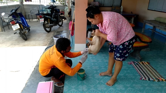 9-5-66 โครงการควบคุมและป้องกันโรคพิษสุนัขบ้า ประจำปี 2566 ชุมชนกระทุ่มโพรง