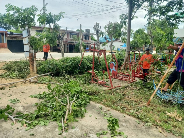 10-6-67 งานป้องกันฯร่วมกับงานไฟฟ้า ดำเนินการตัดแต่งกิ่งไม้บริเวณซอย 11 
