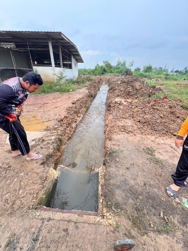 11-10-67 งานป้องกันฯตรวจสอบร่องระบายน้ำและน้ำที่ยังท่วมขังบ้านประชาชน ต่อเนื่องตัดต้นไม้