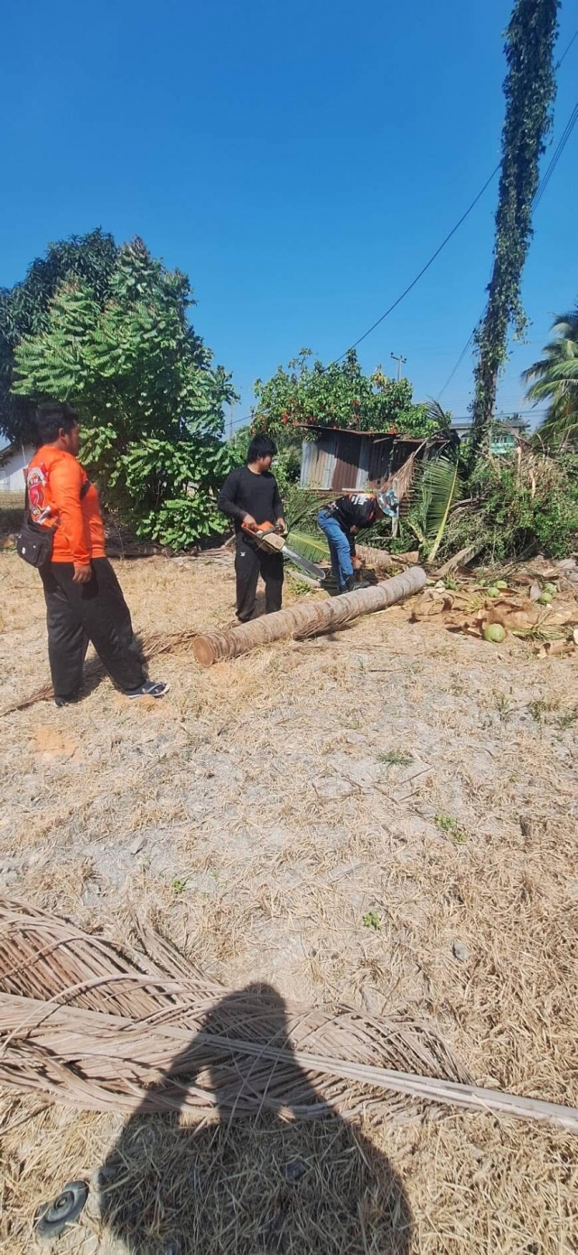13-1-68 งานป้องกันฯ ออกดำเนินการตัดต้นไม้ บริเวณพื้นที่ ศาลเจ้าปุนเถ้ากง