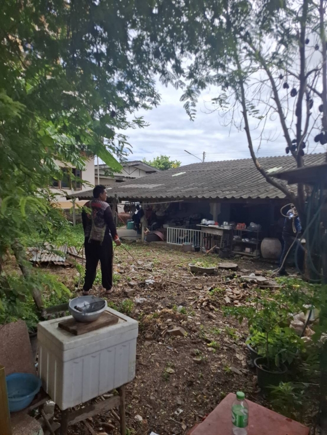 14-8-68 งานป้องกันฯพร้อมด้วยช่างไฟฟ้า ออกดำเนินกการตัดต้นไม้ตามคำร้อง หมู่4 บ้านศาลาลัย
