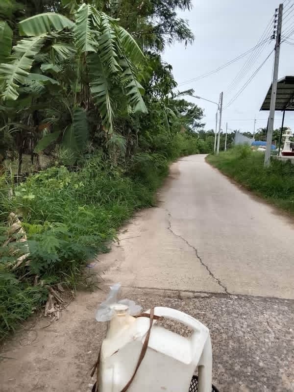 14-8-69 ดำเนินการตัดแต่งกิ่งไม้และตัดหญ้าบริเวณซอยโรงปูน (ด้านหลังเทศบาลตำบลไร่เก่า)