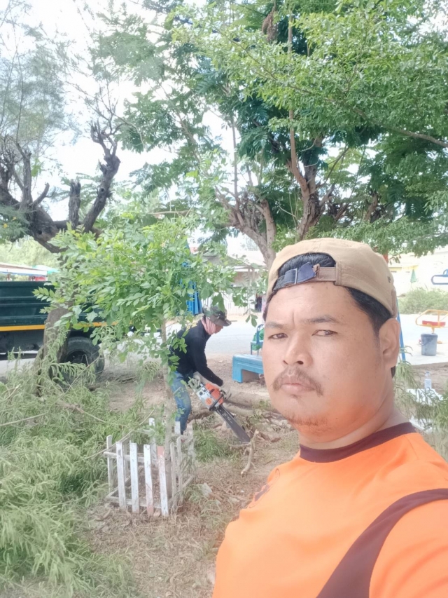 18-5-66 งานป้องกันฯ ตัดต้นไม้โรงเรียนบ้านตาลเจ็ดยอด