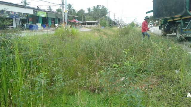 กองสาธารณสุขและสิ่งแวดล้อมตัดหญ้าบริเวณทางลอดโรงเรียนวราวัฒน์และแยกซอยโรงเรียนสามร้อยยอดวิทยาคม