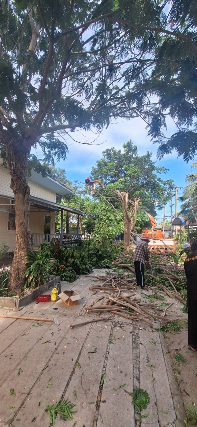 28-5-68งานป้องกันฯ อกดำเนินการตัดต้นไม้ตามคำร้อง โรงเรียนบ้านศาลาลัย